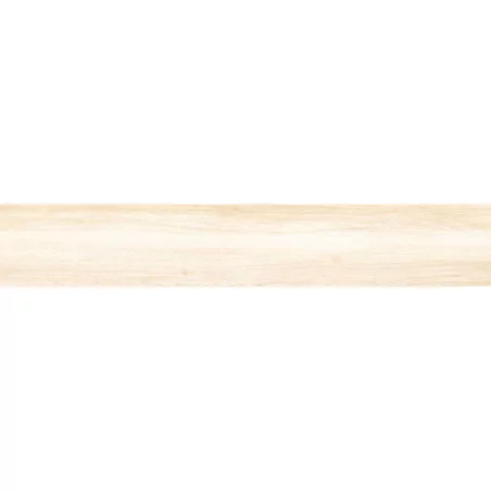 Spezie-Vaniglia-area-ceramiche